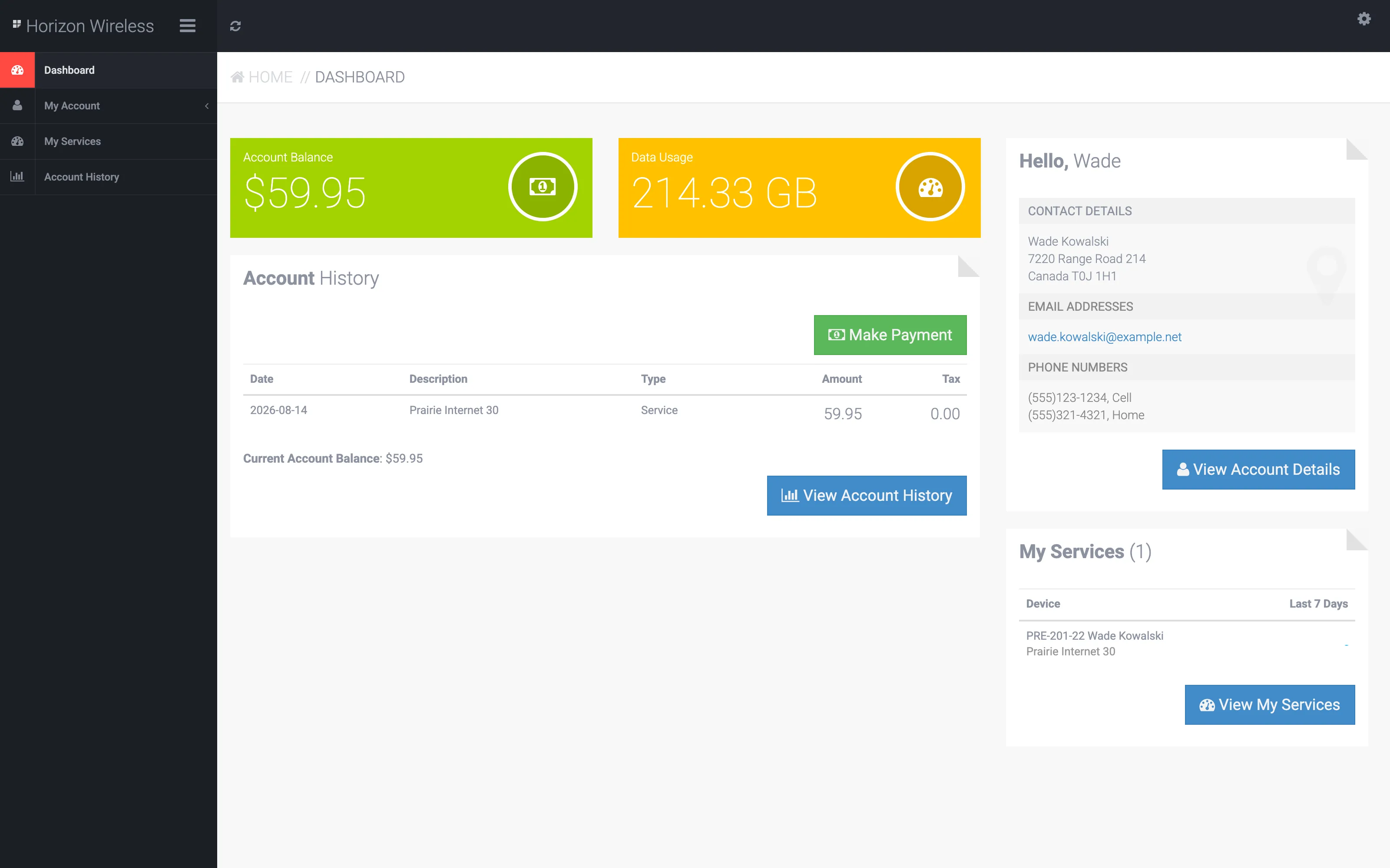The customer self-service portal dashboard: account balance, data usage, account history with a make-payment button, and contact details
