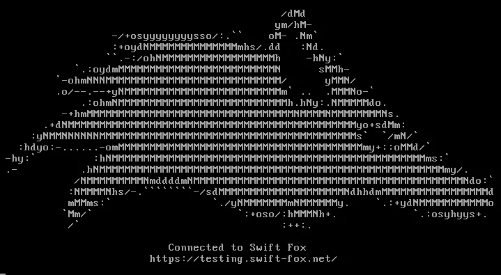 Pingbox virtual machine console after a successful boot